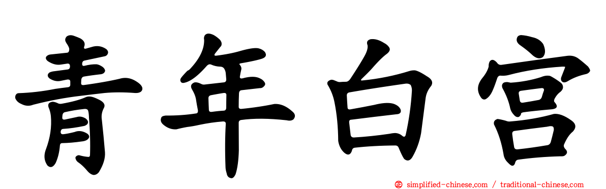 青年白宫