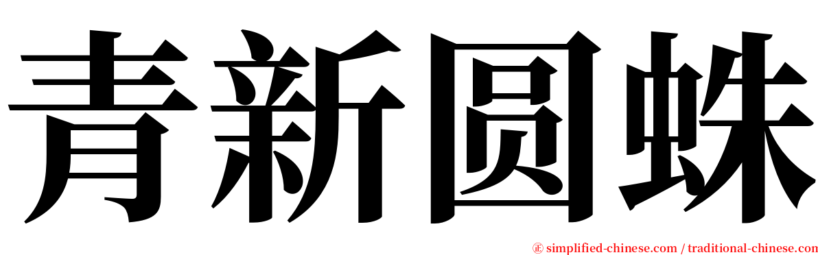 青新圆蛛 serif font