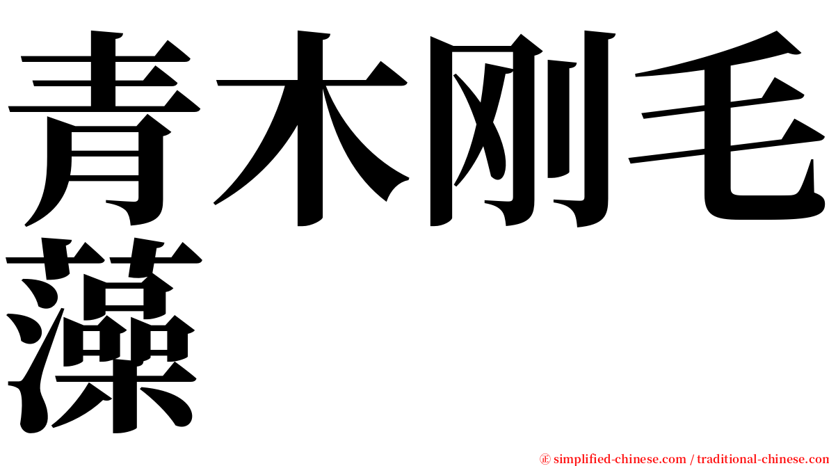 青木刚毛藻 serif font