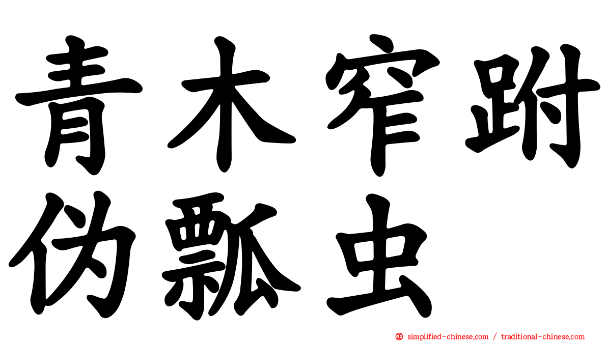青木窄跗伪瓢虫