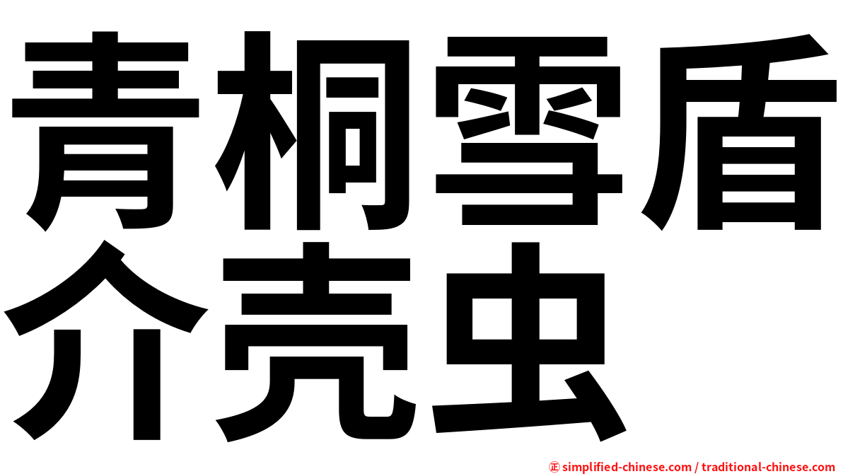 青桐雪盾介壳虫