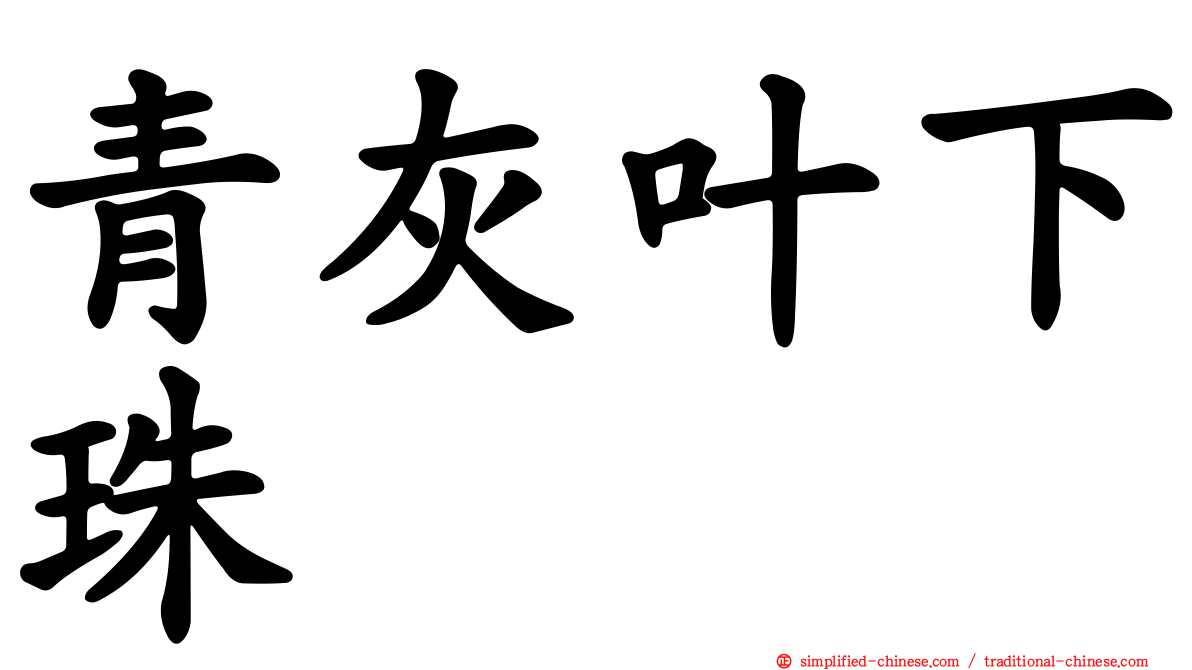 青灰叶下珠