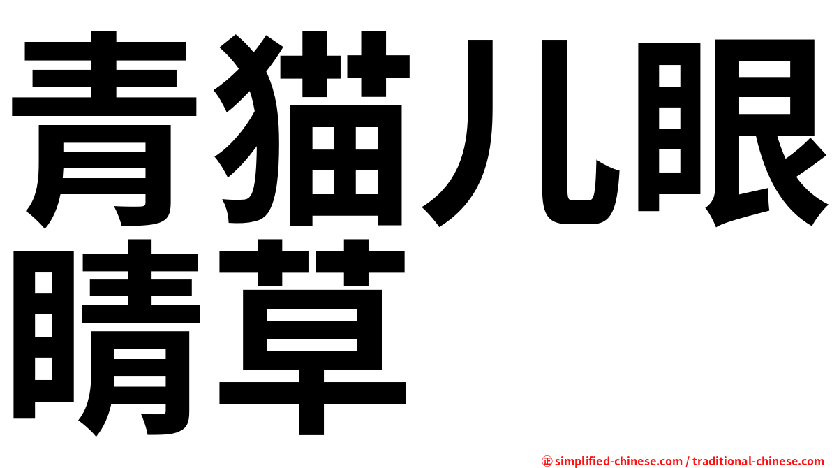 青猫儿眼睛草