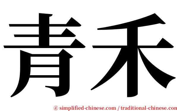 青禾 serif font