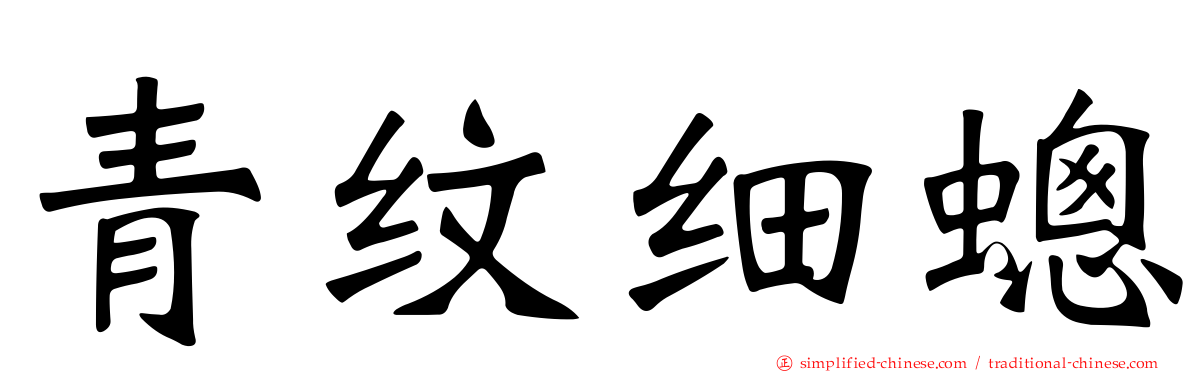 青纹细蟌