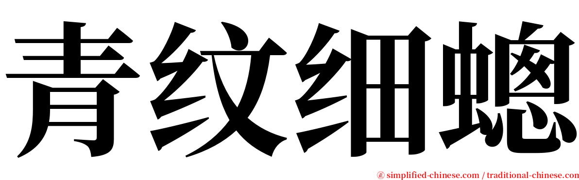 青纹细蟌 serif font