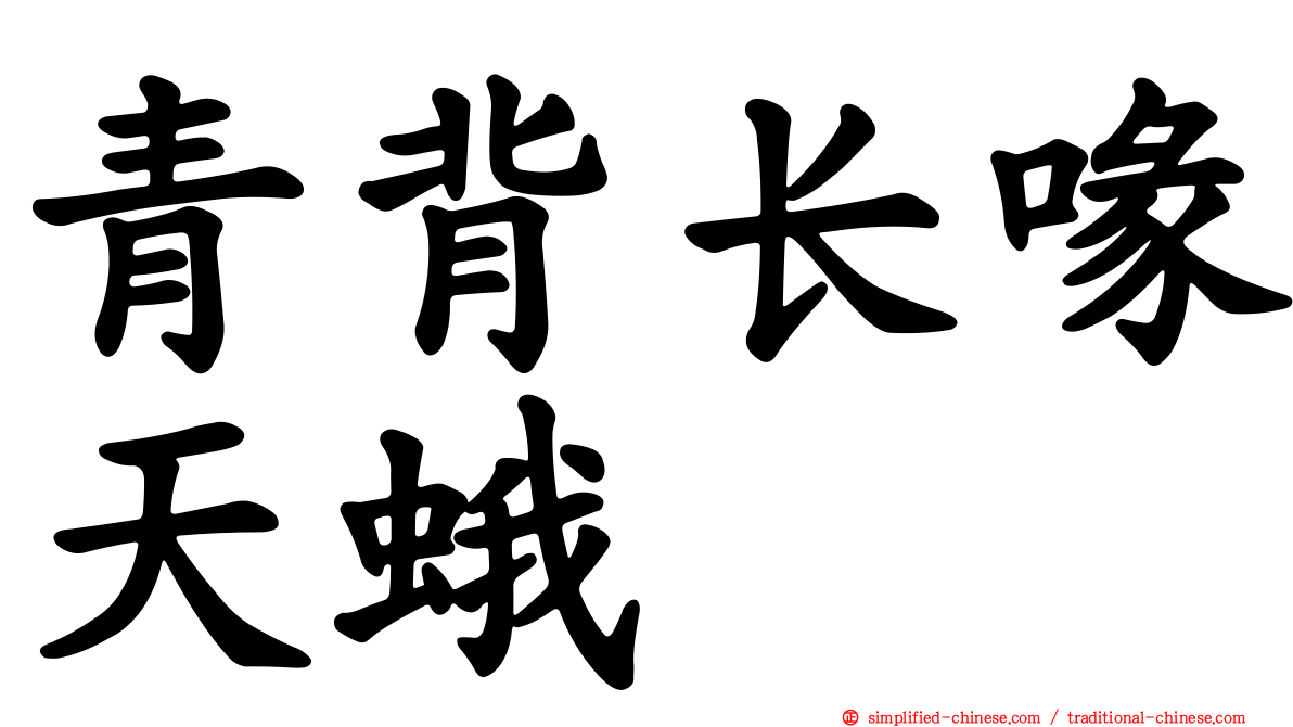 青背长喙天蛾