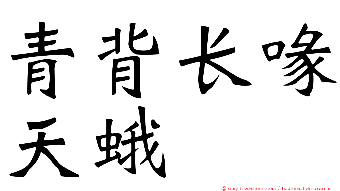 青背长喙天蛾