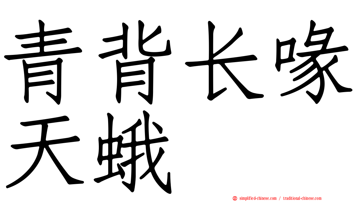 青背长喙天蛾