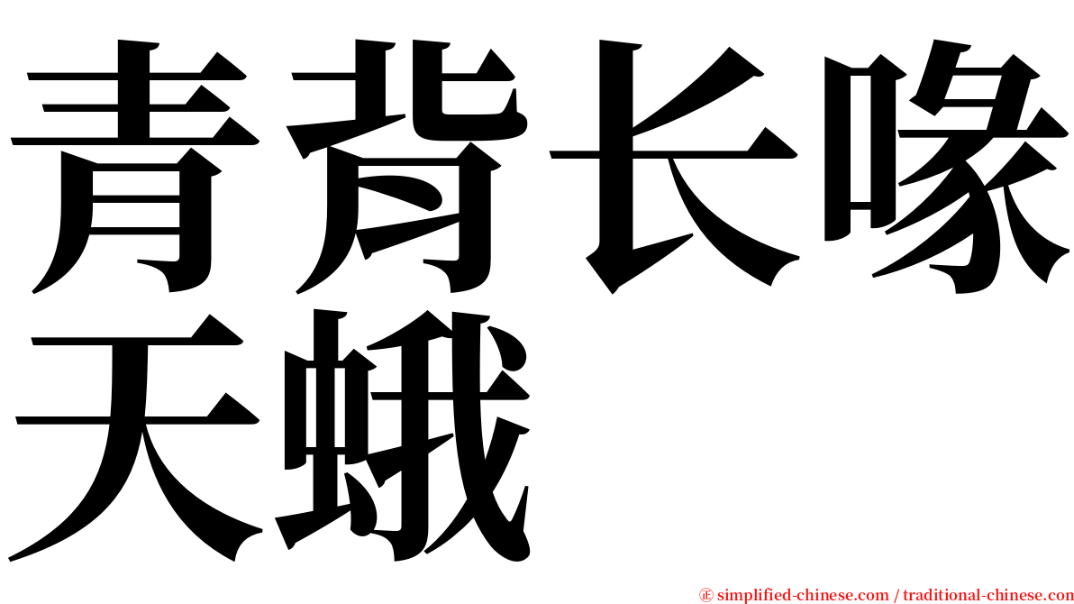 青背长喙天蛾 serif font