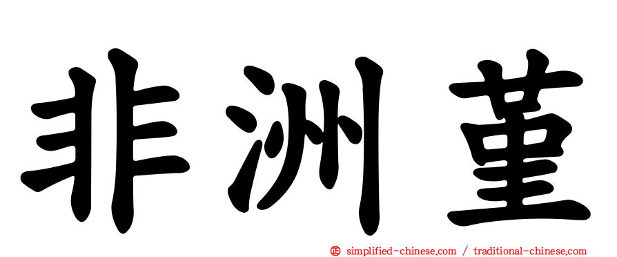 非洲堇