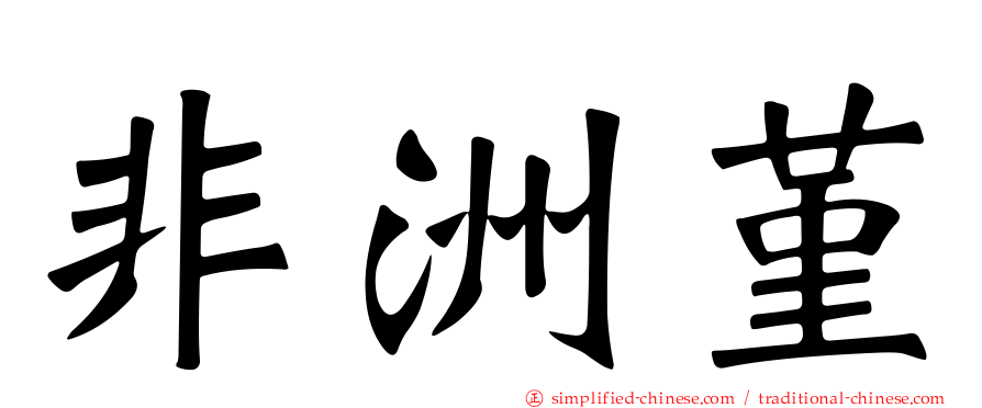 非洲堇