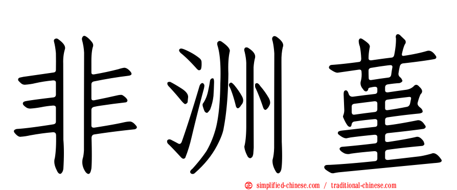 非洲堇