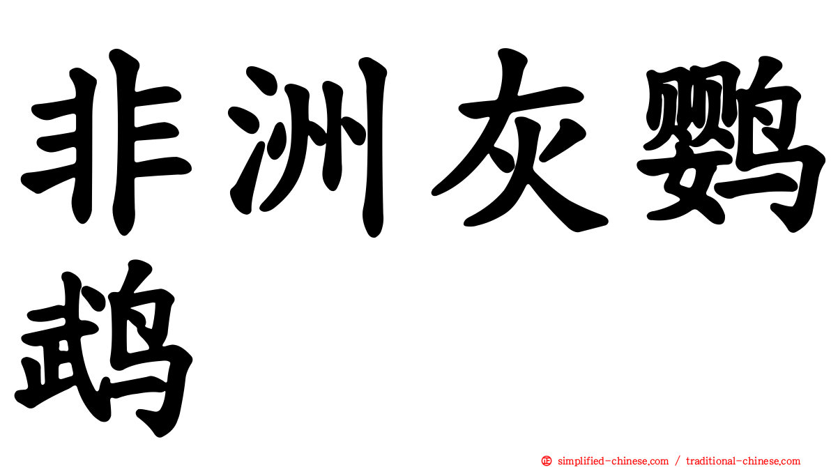 非洲灰鹦鹉