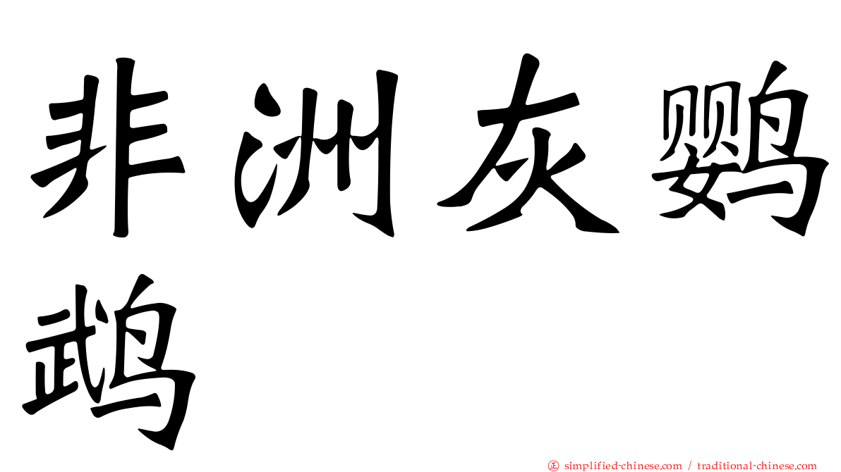 非洲灰鹦鹉