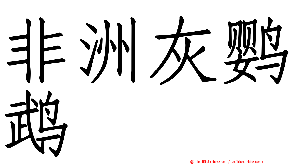 非洲灰鹦鹉