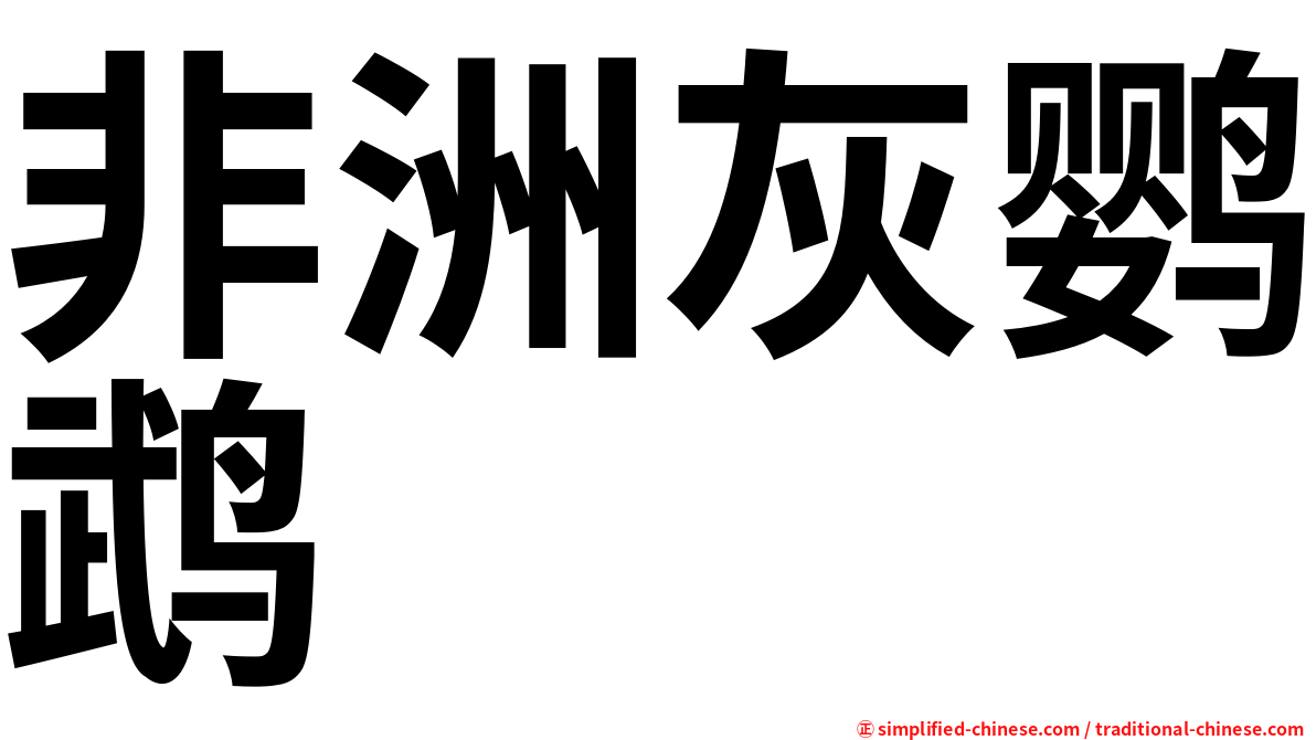 非洲灰鹦鹉