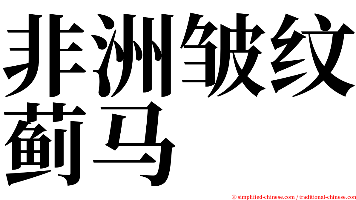 非洲皱纹蓟马 serif font