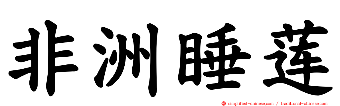 非洲睡莲