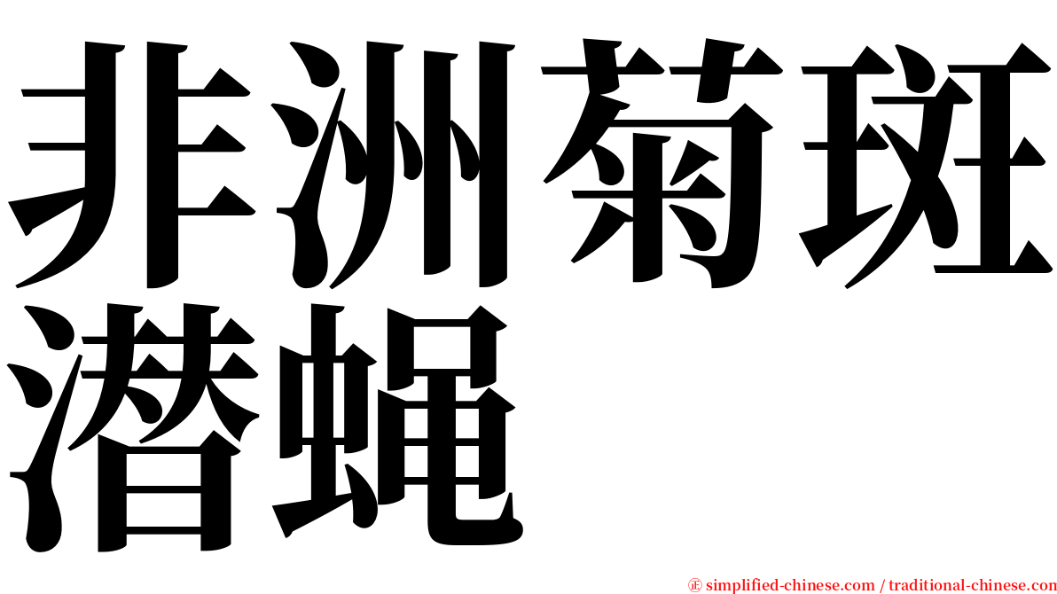 非洲菊斑潜蝇 serif font