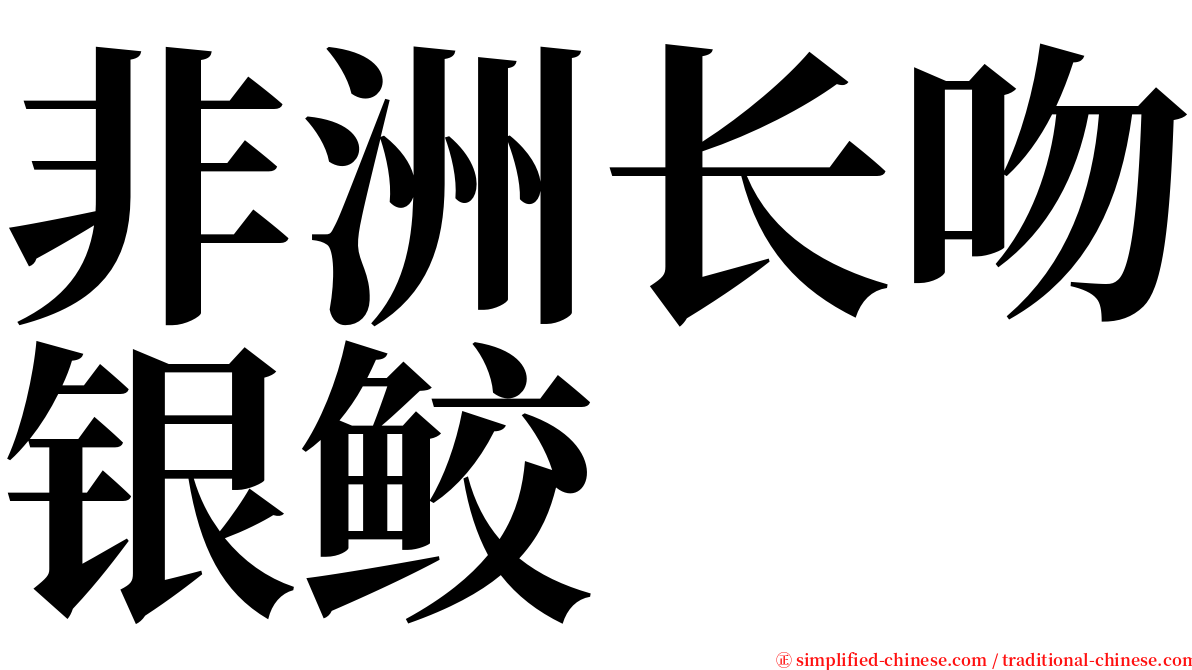 非洲长吻银鲛 serif font
