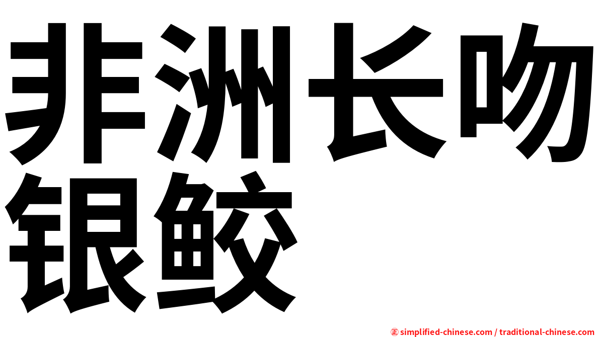 非洲长吻银鲛