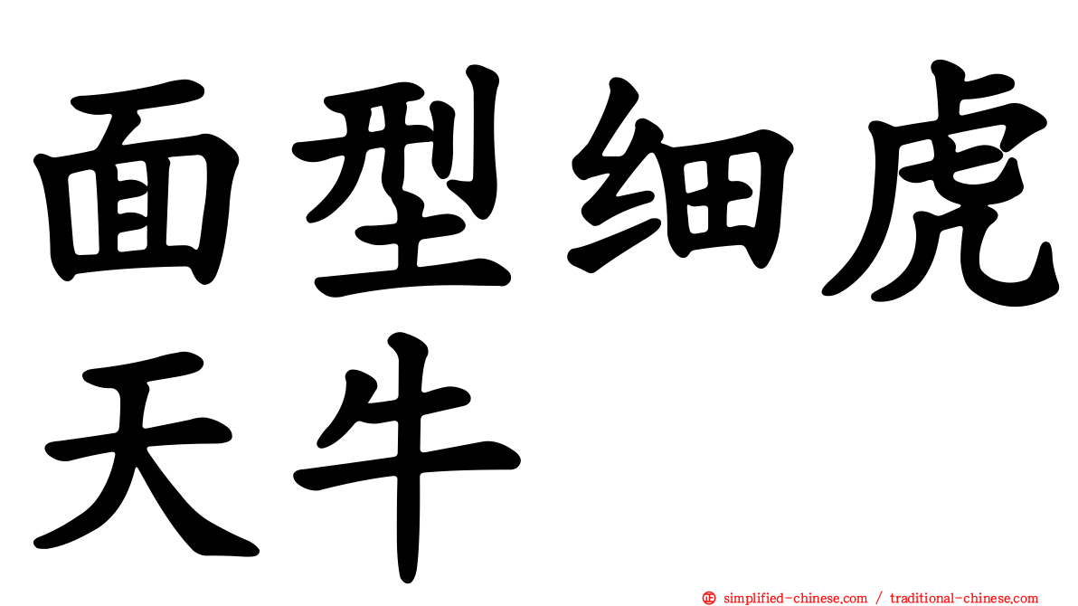 面型细虎天牛