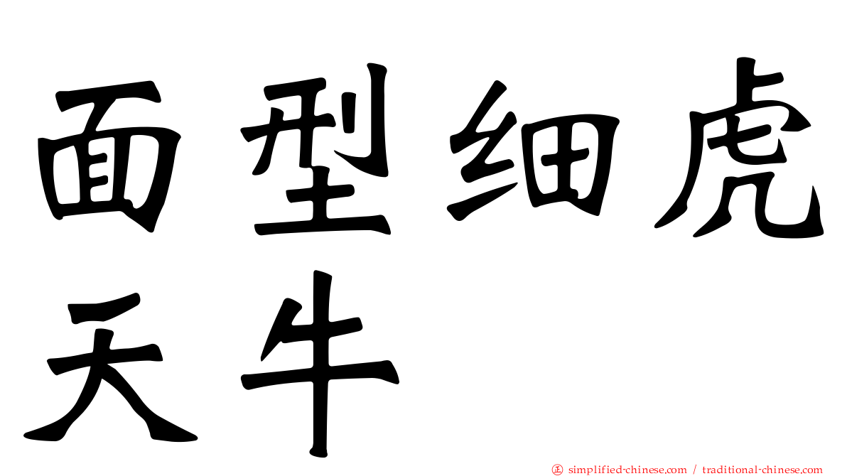 面型细虎天牛