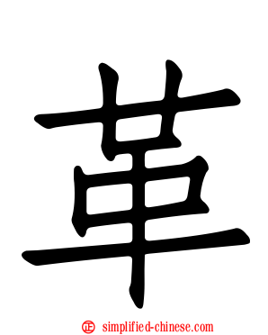 革