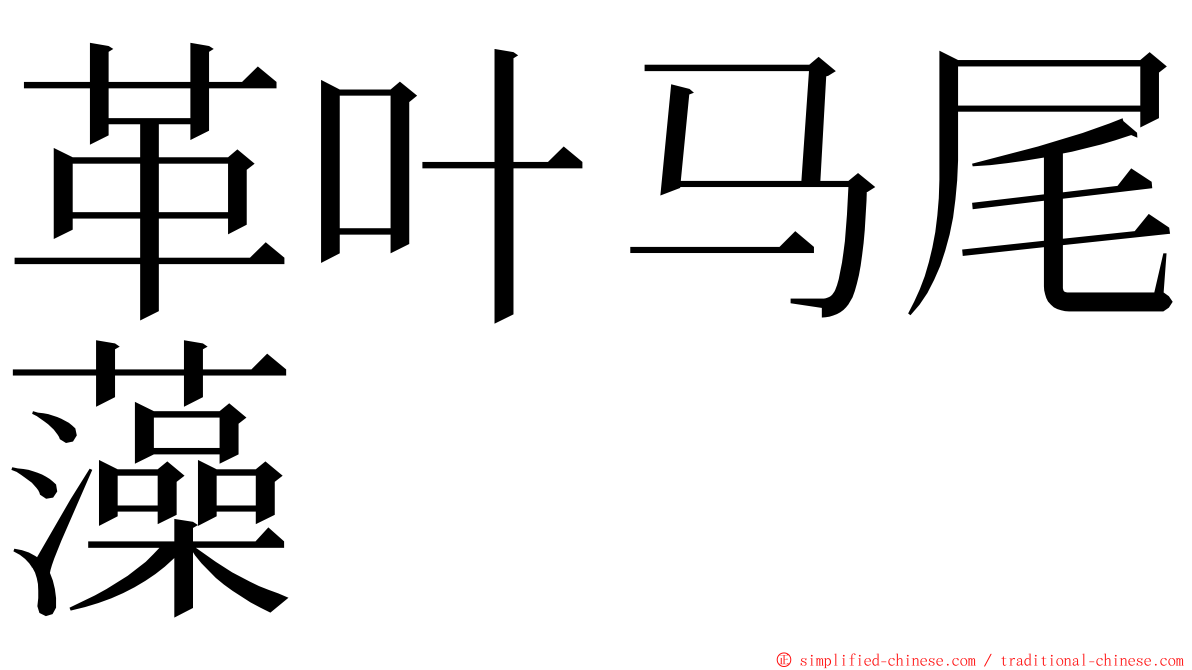 革叶马尾藻 ming font