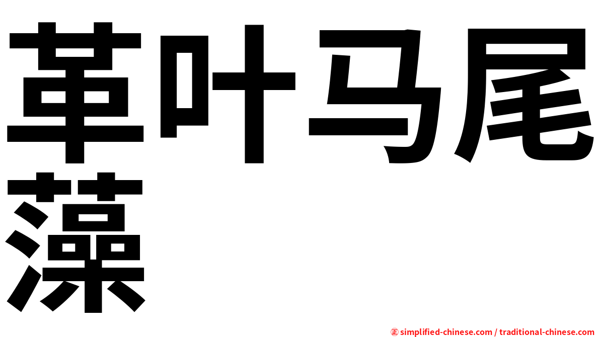 革叶马尾藻