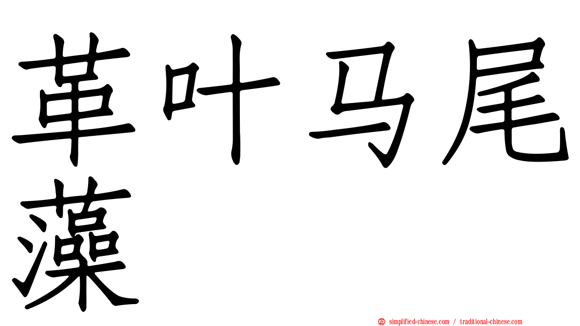 革叶马尾藻