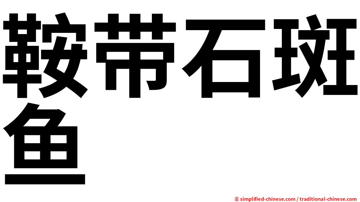 鞍带石斑鱼