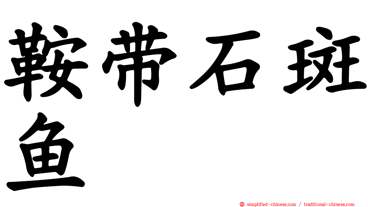 鞍带石斑鱼