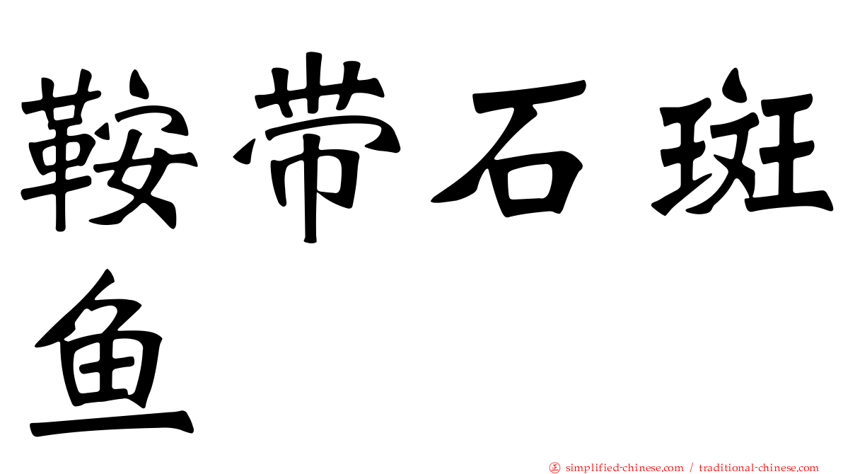 鞍带石斑鱼