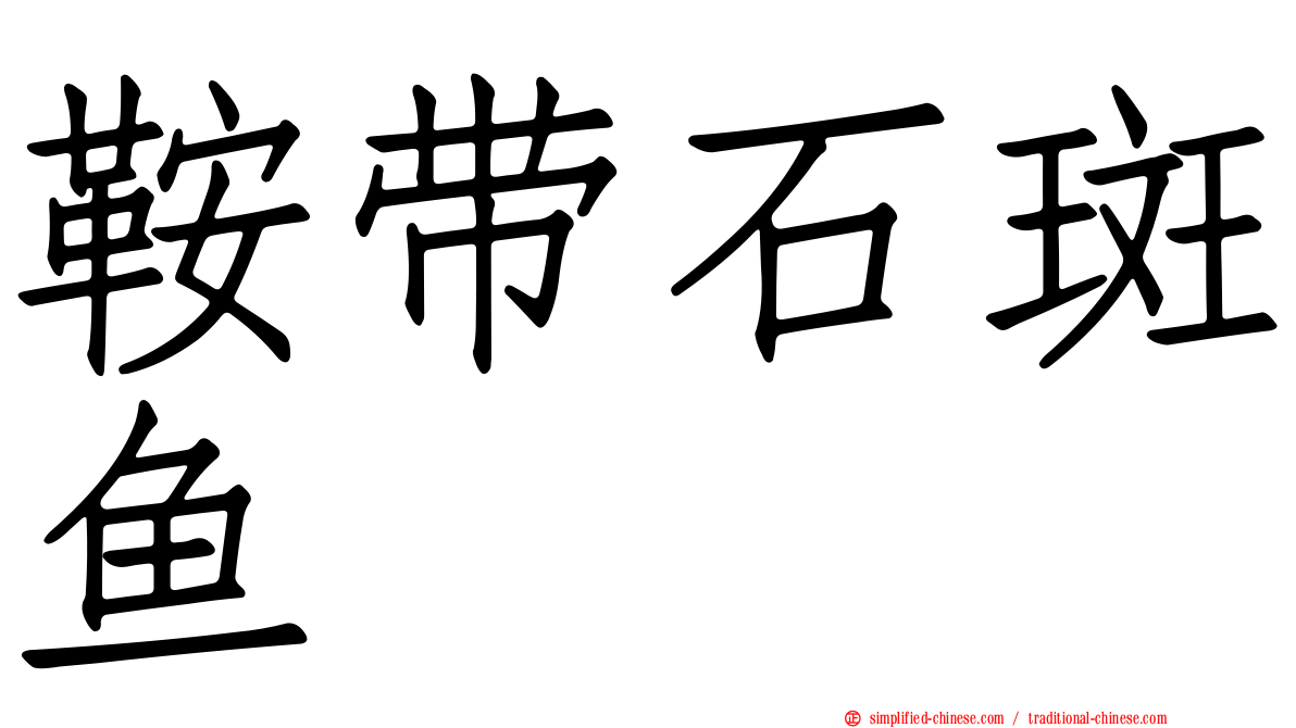 鞍带石斑鱼