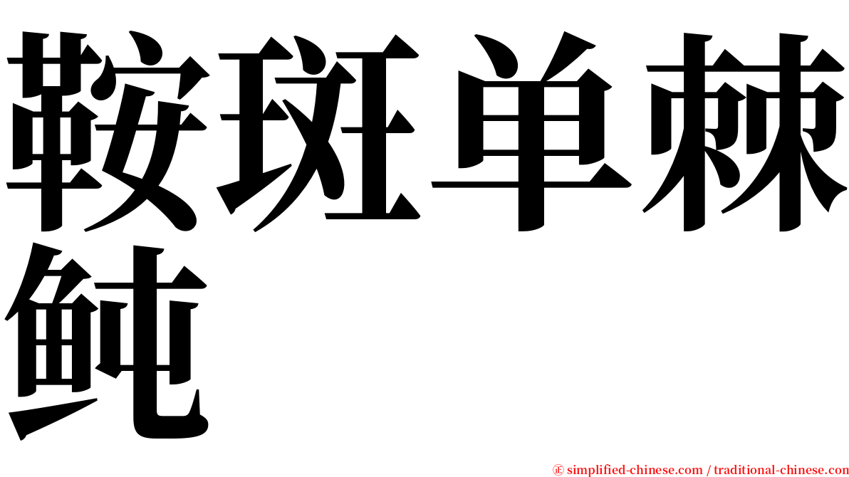 鞍斑单棘鲀 serif font