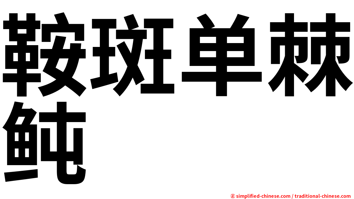 鞍斑单棘鲀
