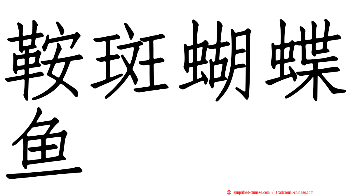 鞍斑蝴蝶鱼