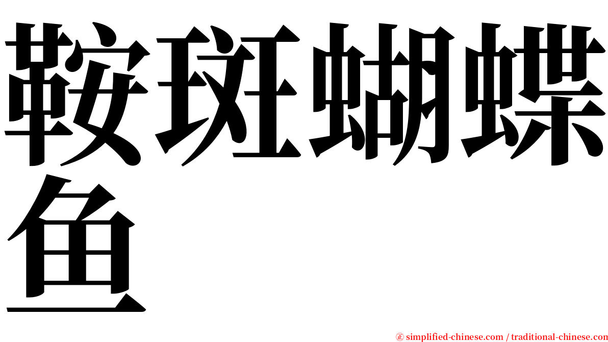 鞍斑蝴蝶鱼 serif font