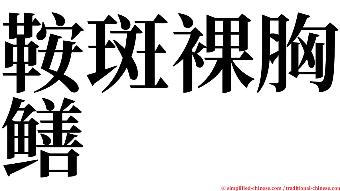 鞍斑裸胸鳝 serif font