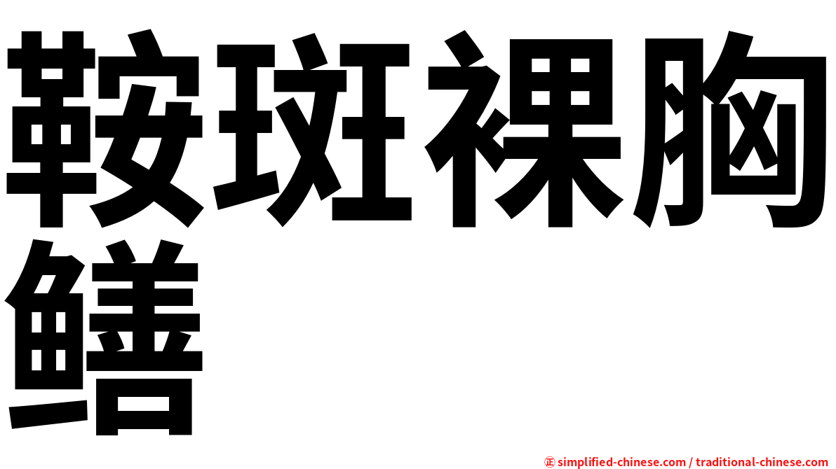 鞍斑裸胸鳝