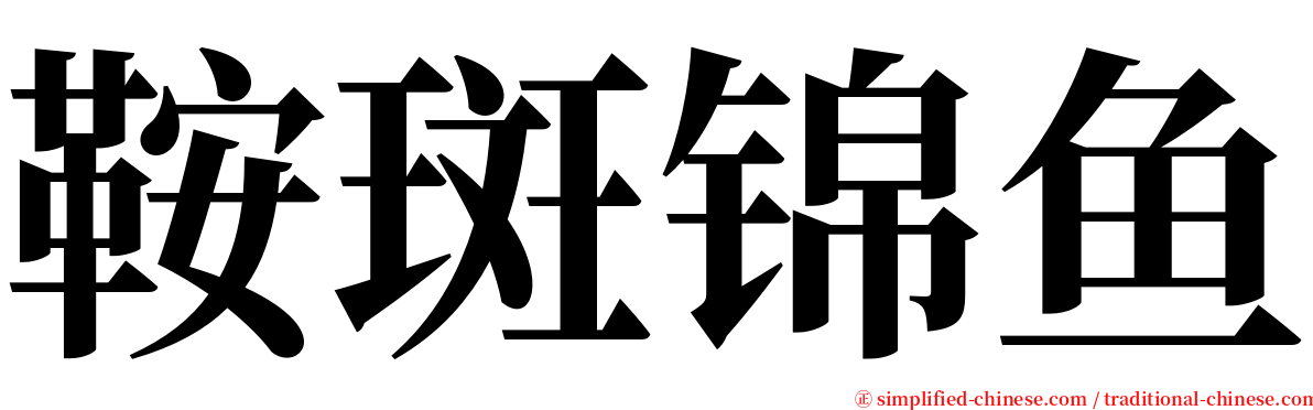鞍斑锦鱼 serif font