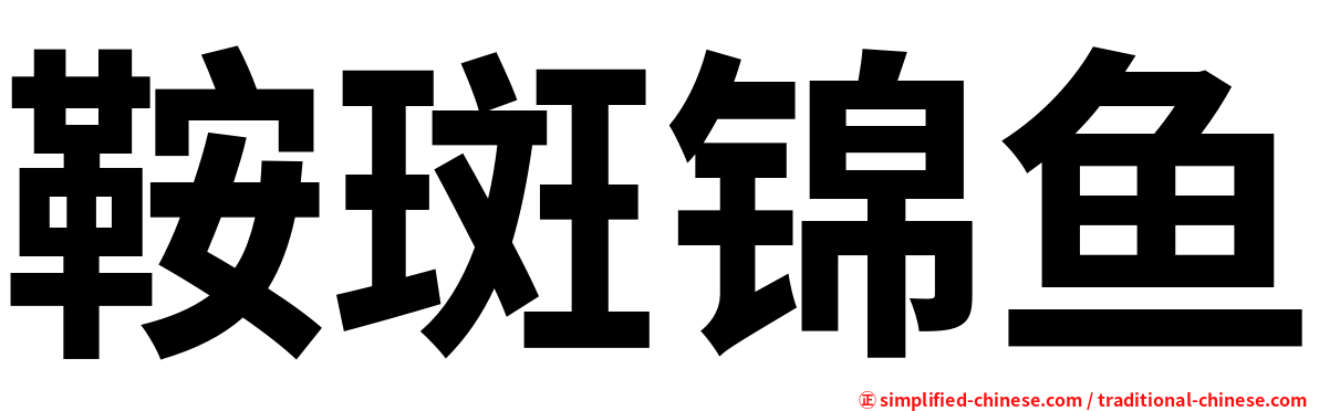 鞍斑锦鱼