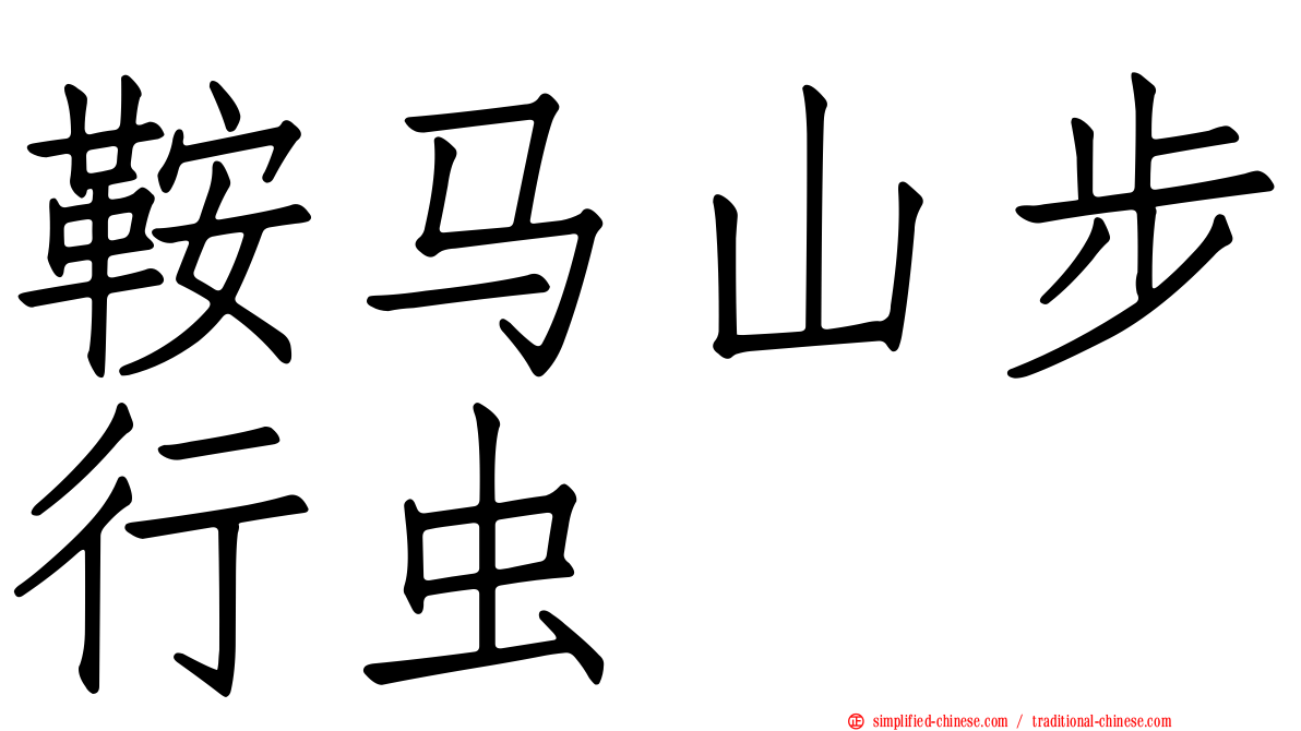 鞍马山步行虫