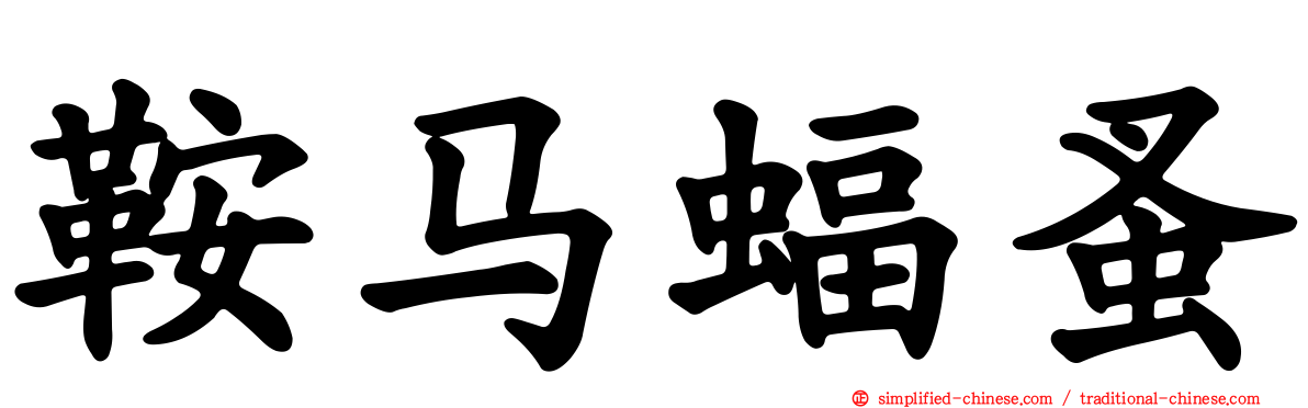 鞍马蝠蚤