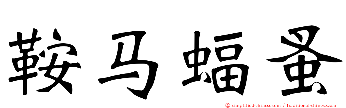 鞍马蝠蚤