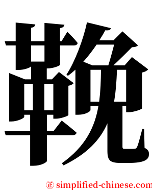 鞔 serif font