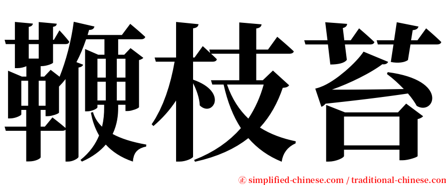 鞭枝苔 serif font