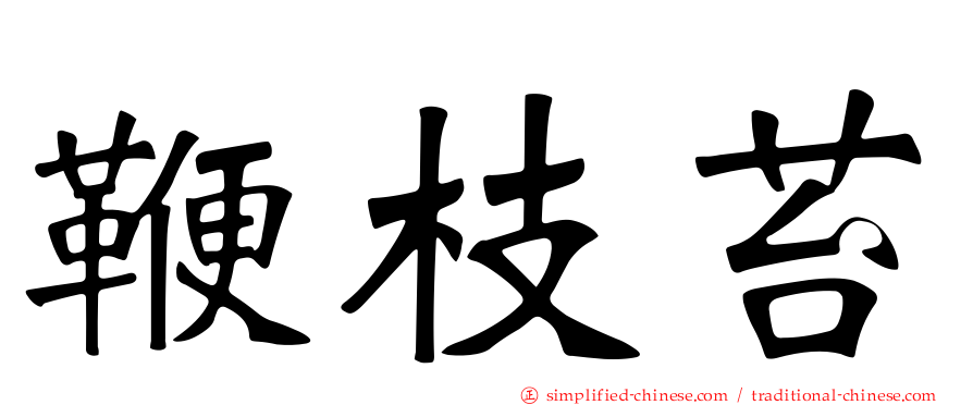 鞭枝苔